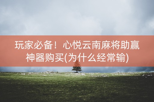 玩家必备！心悦云南麻将助赢神器购买(为什么经常输)