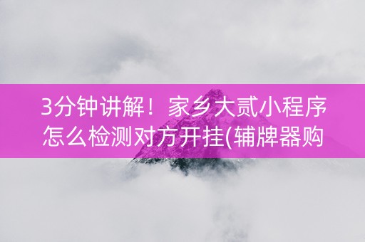 3分钟讲解！家乡大贰小程序怎么检测对方开挂(辅牌器购买)