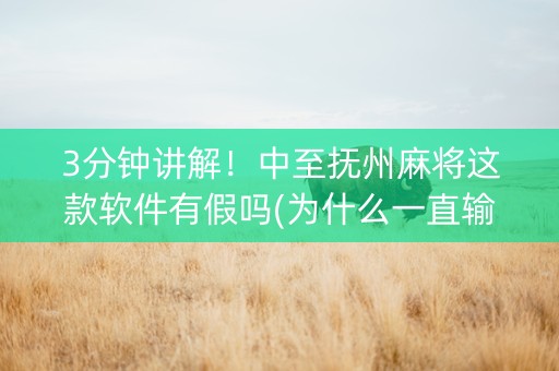 3分钟讲解！中至抚州麻将这款软件有假吗(为什么一直输)