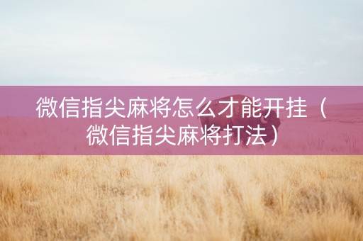 微信指尖麻将怎么才能开挂（微信指尖麻将打法）