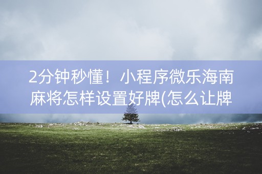 2分钟秒懂！小程序微乐海南麻将怎样设置好牌(怎么让牌变好)