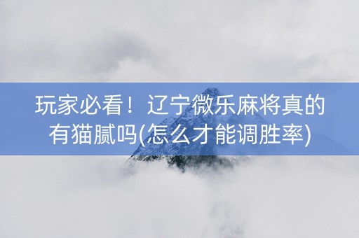 玩家必看！辽宁微乐麻将真的有猫腻吗(怎么才能调胜率)