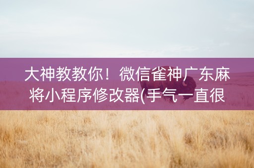 大神教教你！微信雀神广东麻将小程序修改器(手气一直很差)