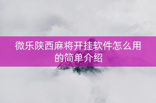 微乐陕西麻将开挂软件怎么用的简单介绍