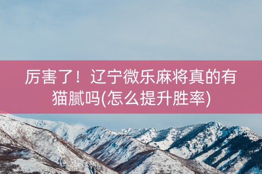 厉害了！辽宁微乐麻将真的有猫腻吗(怎么提升胜率)