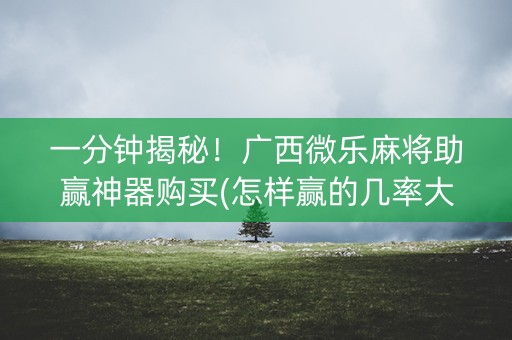 一分钟揭秘！广西微乐麻将助赢神器购买(怎样赢的几率大)