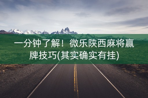 一分钟了解！微乐陕西麻将赢牌技巧(其实确实有挂)