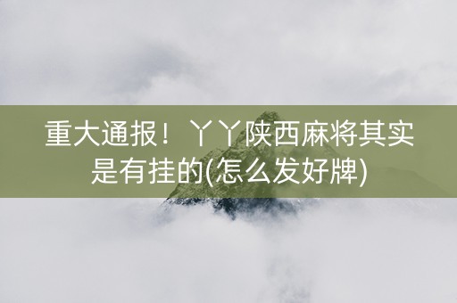 重大通报！丫丫陕西麻将其实是有挂的(怎么发好牌)