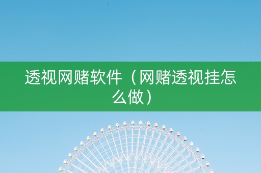 透视网赌软件（网赌透视挂怎么做）