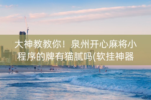 大神教教你！泉州开心麻将小程序的牌有猫腻吗(软挂神器)