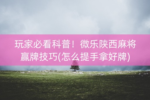玩家必看科普！微乐陕西麻将赢牌技巧(怎么提手拿好牌)