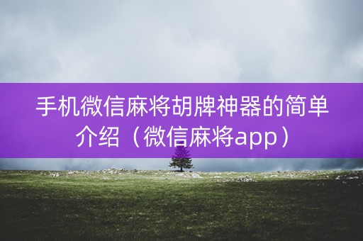 手机微信麻将胡牌神器的简单介绍（微信麻将app）