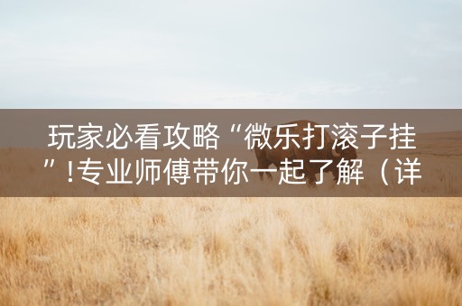 玩家必看攻略“微乐打滚子挂”!专业师傅带你一起了解（详细教程）-知乎