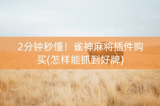 2分钟秒懂！雀神麻将插件购买(怎样能抓到好牌)