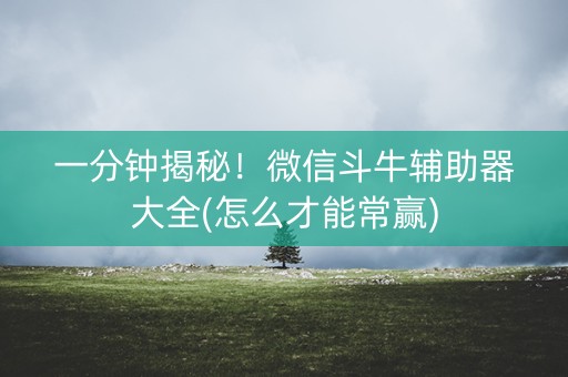 一分钟揭秘！微信斗牛辅助器大全(怎么才能常赢)