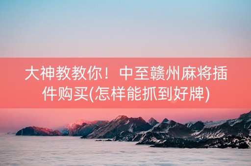 大神教教你！中至赣州麻将插件购买(怎样能抓到好牌)