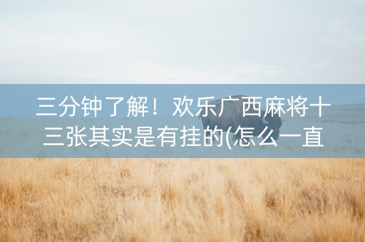 三分钟了解！欢乐广西麻将十三张其实是有挂的(怎么一直赢)