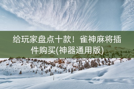 给玩家盘点十款！雀神麻将插件购买(神器通用版)