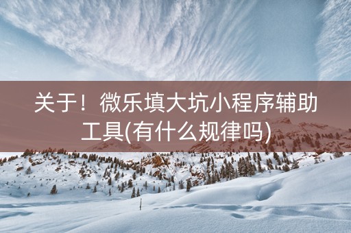 关于！微乐填大坑小程序辅助工具(有什么规律吗)