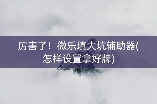 厉害了！微乐填大坑辅助器(怎样设置拿好牌)