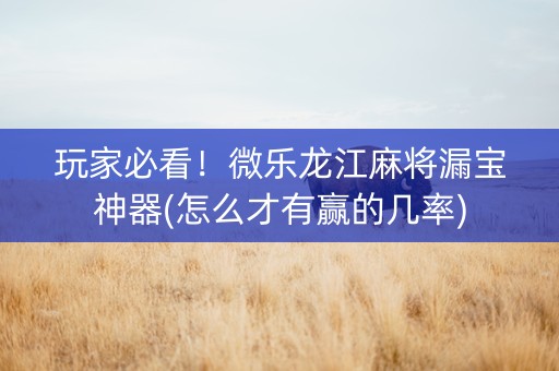 玩家必看！微乐龙江麻将漏宝神器(怎么才有赢的几率)
