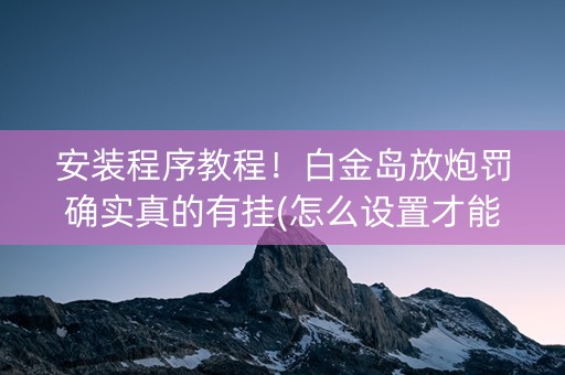 安装程序教程！白金岛放炮罚确实真的有挂(怎么设置才能赢)