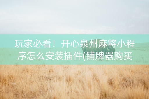 玩家必看！开心泉州麻将小程序怎么安装插件(铺牌器购买)