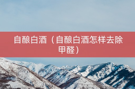 自酿白酒（自酿白酒怎样去除甲醛）