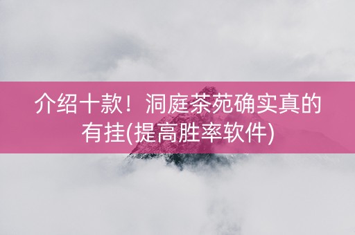 介绍十款！洞庭茶苑确实真的有挂(提高胜率软件)
