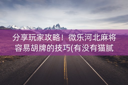 分享玩家攻略！微乐河北麻将容易胡牌的技巧(有没有猫腻)