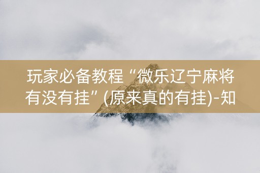 玩家必备教程“微乐辽宁麻将有没有挂”(原来真的有挂)-知乎