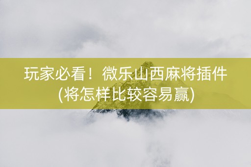 玩家必看！微乐山西麻将插件(将怎样比较容易赢)