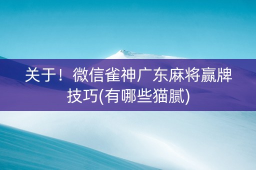 关于！微信雀神广东麻将赢牌技巧(有哪些猫腻)