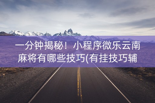 一分钟揭秘！小程序微乐云南麻将有哪些技巧(有挂技巧辅助器)