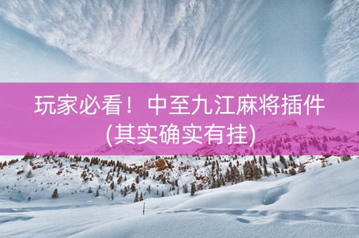 玩家必看！中至九江麻将插件(其实确实有挂)