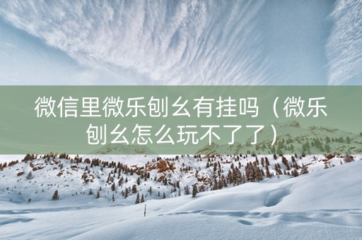 微信里微乐刨幺有挂吗（微乐刨幺怎么玩不了了）