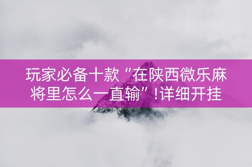 玩家必备十款“在陕西微乐麻将里怎么一直输”!详细开挂教程-知乎