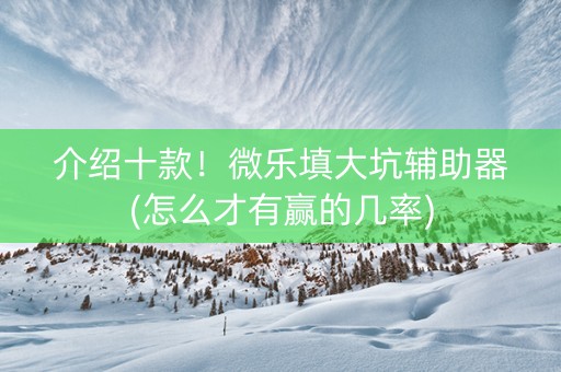 介绍十款！微乐填大坑辅助器(怎么才有赢的几率)