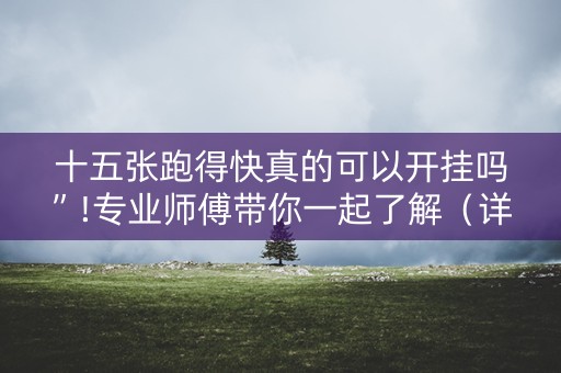 十五张跑得快真的可以开挂吗”!专业师傅带你一起了解（详细教程）-知乎