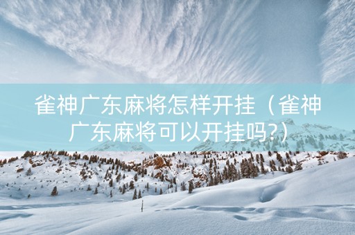 雀神广东麻将怎样开挂（雀神广东麻将可以开挂吗?）