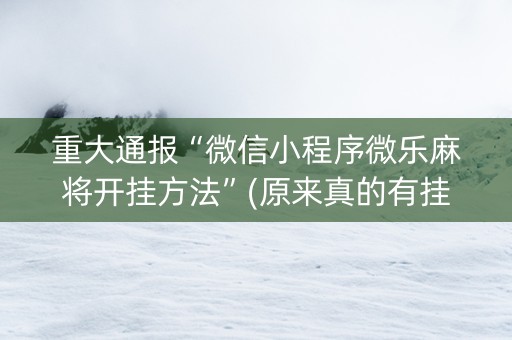 重大通报“微信小程序微乐麻将开挂方法”(原来真的有挂)-知乎