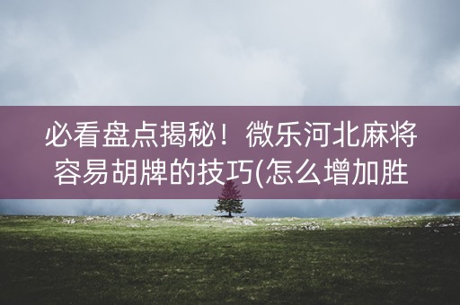必看盘点揭秘！微乐河北麻将容易胡牌的技巧(怎么增加胜率)