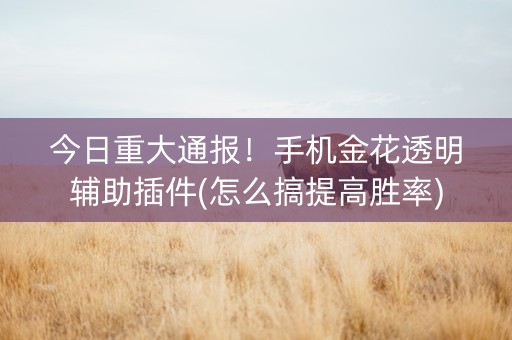 今日重大通报！手机金花透明辅助插件(怎么搞提高胜率)
