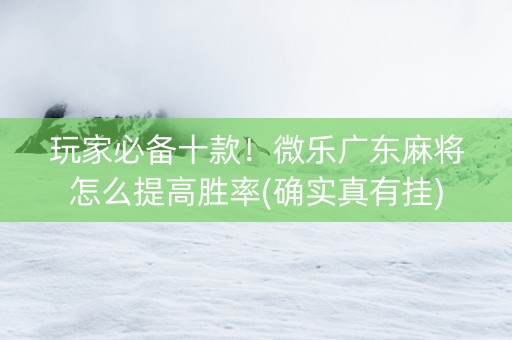 玩家必备十款！微乐广东麻将怎么提高胜率(确实真有挂)