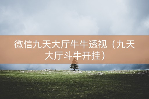 微信九天大厅牛牛透视（九天大厅斗牛开挂）