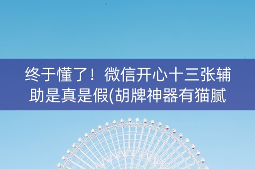 终于懂了！微信开心十三张辅助是真是假(胡牌神器有猫腻吗)