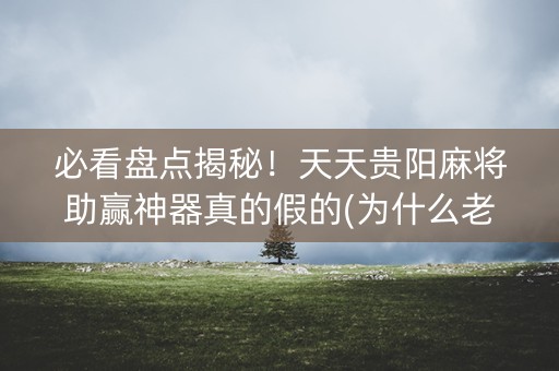 必看盘点揭秘！天天贵阳麻将助赢神器真的假的(为什么老输)