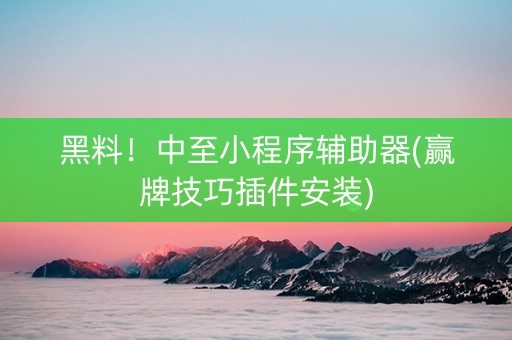 黑料！中至小程序辅助器(赢牌技巧插件安装)