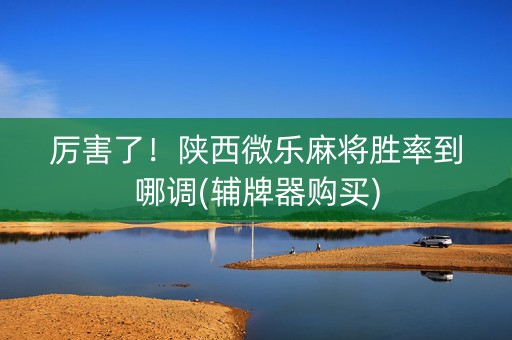 厉害了！陕西微乐麻将胜率到哪调(辅牌器购买)