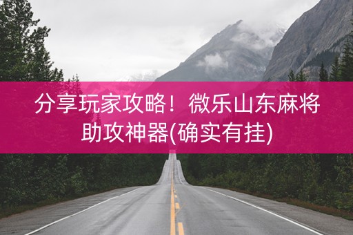 分享玩家攻略！微乐山东麻将助攻神器(确实有挂)